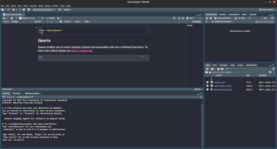 R or Python in R Studio