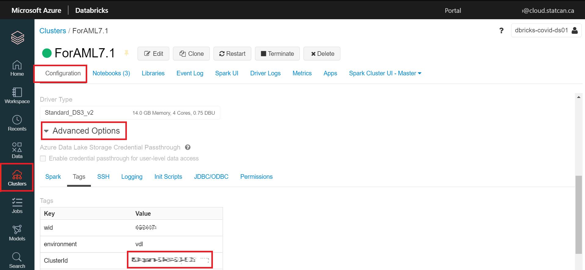 Databrick Connect Cluster ID